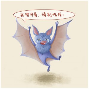 女士專屬身體檢查項目，全面關注女性健康